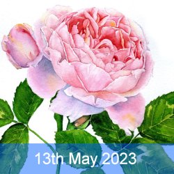 Botanical Watercolour for Beginners with Janie Pirie